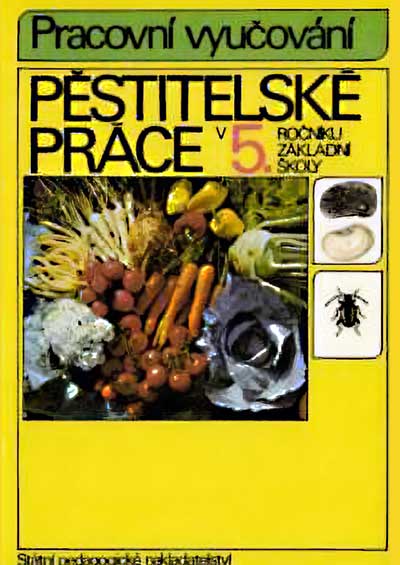 Pěstitelské práce v 5. ročníku základní školy