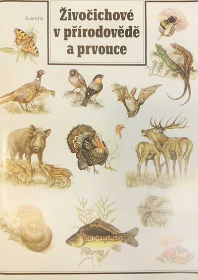 Živočichové v přírodovědě a prvouce
