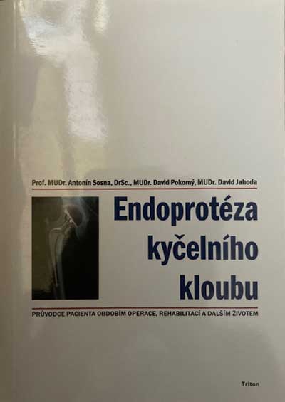 Endoprotéza kyčelního kloubu