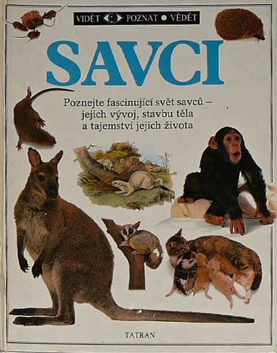 Savci