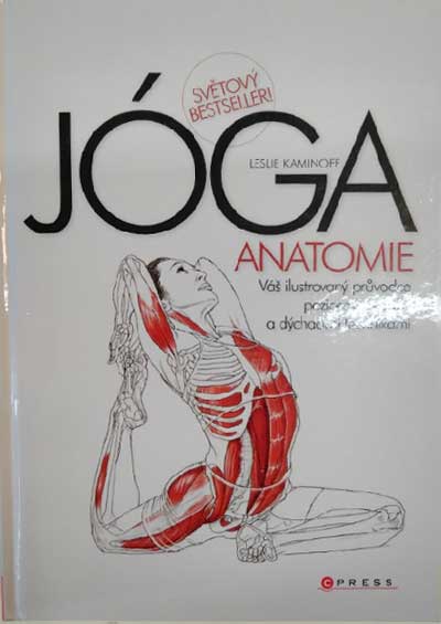 Jóga anatomie