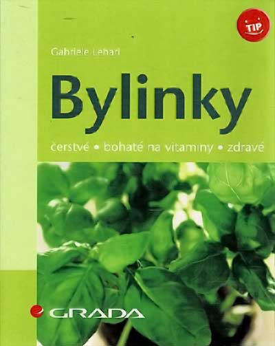 Bylinky -- čerstvé, bohaté na vitaminy