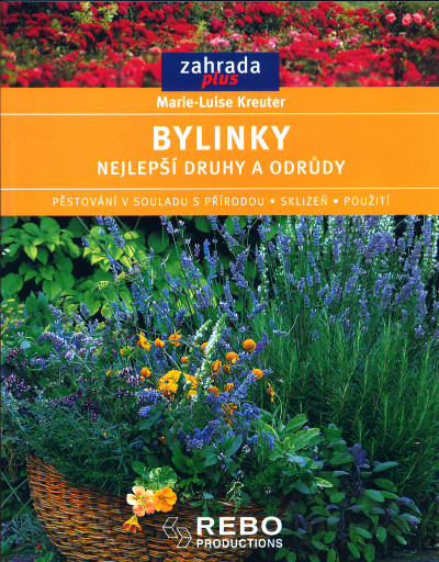 Bylinky - Nejlepší druhy a odrůdy - Zahrada plus