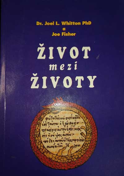 Život mezi životy