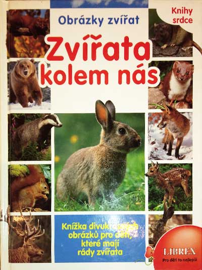 Zvířata kolem nás - Obrázky zvířat
