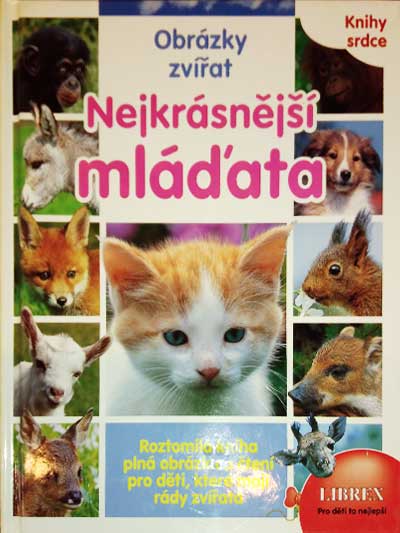 Nejkrásnější mláďata - Obrázky zvířat