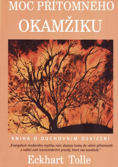 Moc přítomného okamžiku