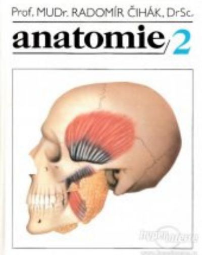 Anatomie 2